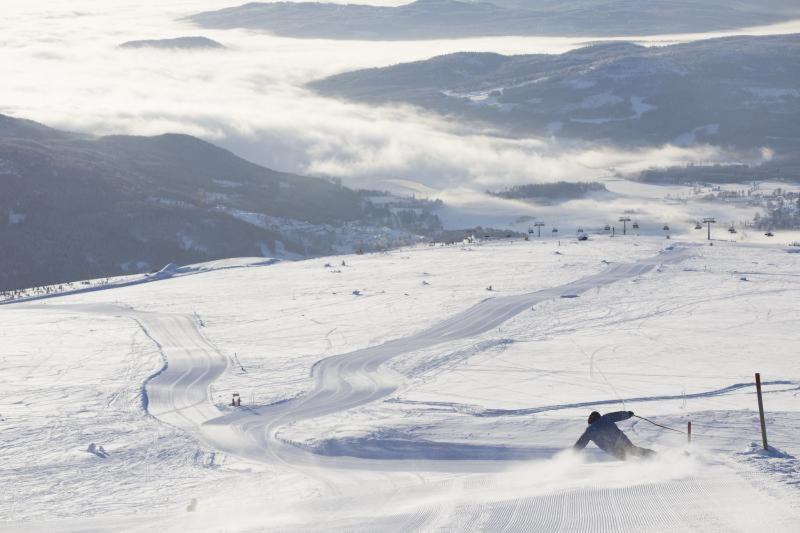 Skogro Ved Norefjell Noresund Exteriér fotografie